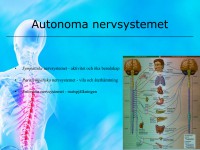 /album/nervsystemet/a6-nervsystemet-024-jpeg/